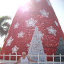 ���� �������, �����, 67 ��� - ��������� 8 ������� 2014 � ������ �����������