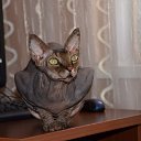 ��� ��������.. �� ������� ���� ����������