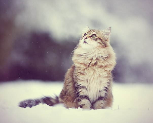       - 12  2014  23:02 - 2