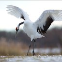  Lina,  -  30  2014      ..