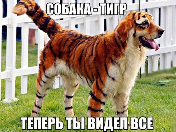 Art & Fun - 30  2014  17:59