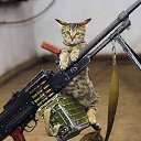 ���� �����, �������� - ��������� 14 ������ 2014 � ������ ������ ��������