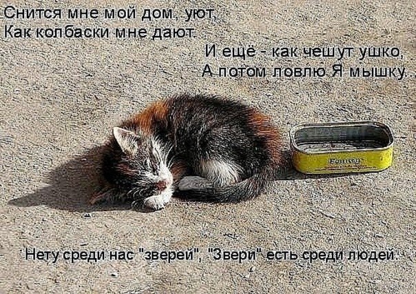       - 9  2014  03:02