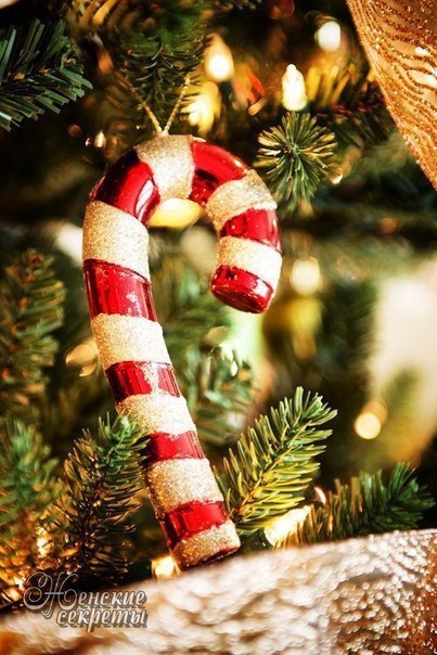 ������ ������ ���, ������ ��� ��������� ��������, ����� ������, ��� ���� - �� �����, � ������ �� ... - 6