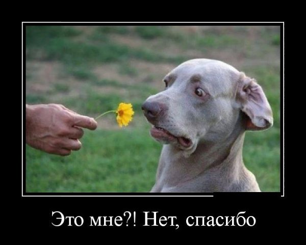 �������������� �� ���: fotostrana.ru/public/232203 ;-)