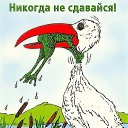 ���� Kent, ���� - ��������� 12 ������� 2014 � ������ ���� ����������