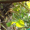  Stas, , 65  -  1  2014    