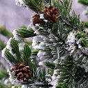 ���� Meruert, ������� - ��������� 10 ������� 2014 � ������ ��������