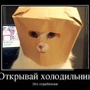  N..., , 47  -  19  2014       )))