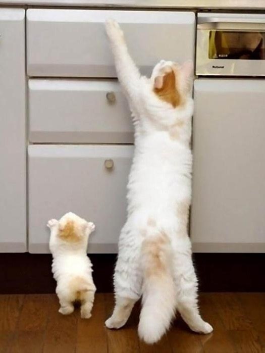   - 16  2014  03:31 - 6