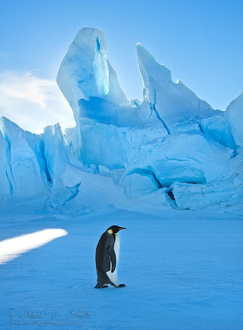 ����� ������� - 3 ������ 2014 � 15:08 - 6