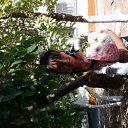 ���� ��������), ������, 41 ��� - ��������� 10 ������� 2014 � ������ ���� ����������