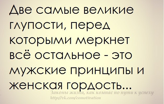 Это вы глупая. Цитаты про принципы. Цитаты про гордость в отношениях. Высказывания про гордость. Статус гордая.