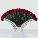 ���� ���������, ���������� - ��������� 19 ������ 2014 � ������ ������ ��������