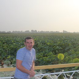 ���� ������, ��������, 50 ��� - ��������� 29 ������� 2014