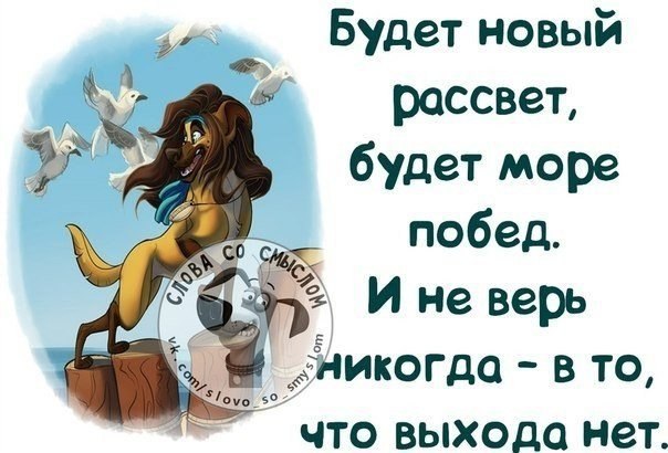 ...  ......