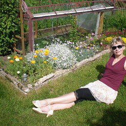 ���� ���������, ������-����, 62 ���� - ��������� 25 ������ 2014