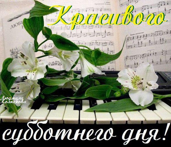  - 23  2014  10:01 - 2