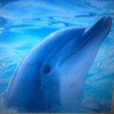 ���� ������, ������, 46 ��� - ��������� 31 ������� 2014 � ������ ���������