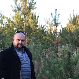 ������, ������, 39 ���