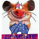 ���� ������, ���������, 33 ���� - ��������� 9 ������� 2014