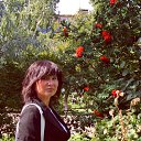 ���� ����, ������ - ��������� 26 �������� 2014 � ������ ������ ��������