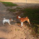���� Rimma, ��� - ��������� 4 ������� 2014 � ������ ���� ����������