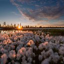 ���� ��������, ������� - ��������� 10 �������� 2014 � ������ ������ ��������