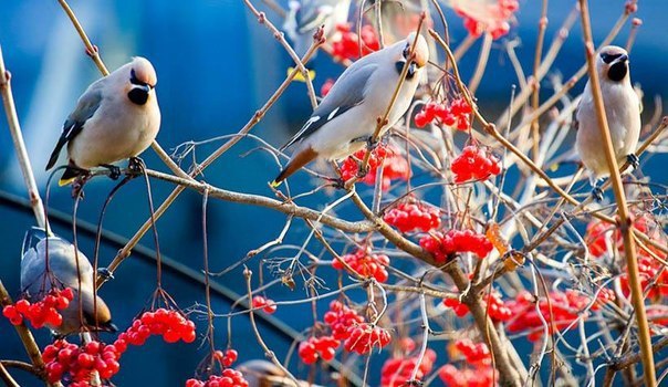 ������ ������.� ������ ����� ����� ��������� �������� ���� �������,������� �������� ����� ... - 3