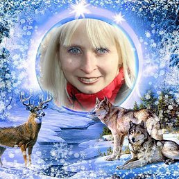 Светлана, 46 лет, Торжок - фото 5