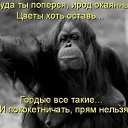 ���� �����, ������� - ��������� 27 ������ 2014 � ������ ������ ��������