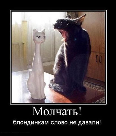     <a href=