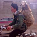 � ��������� �� ������� �������