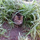  ,  -  26  2014        )))