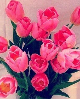    - 9  2014  03:15 - 2