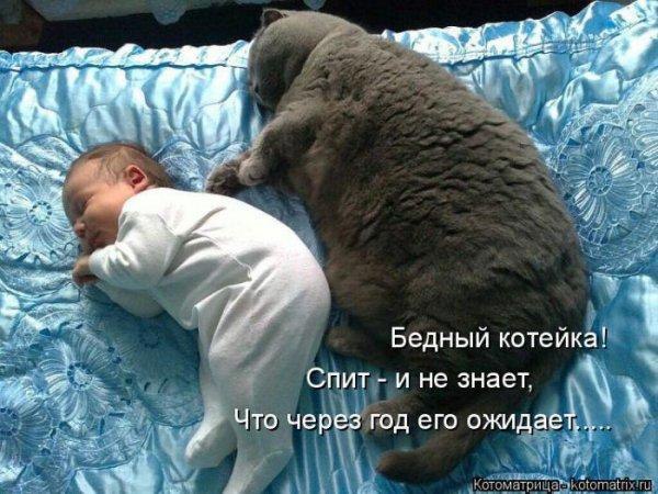 �������������� �� ���: fotostrana.ru/mix-humor