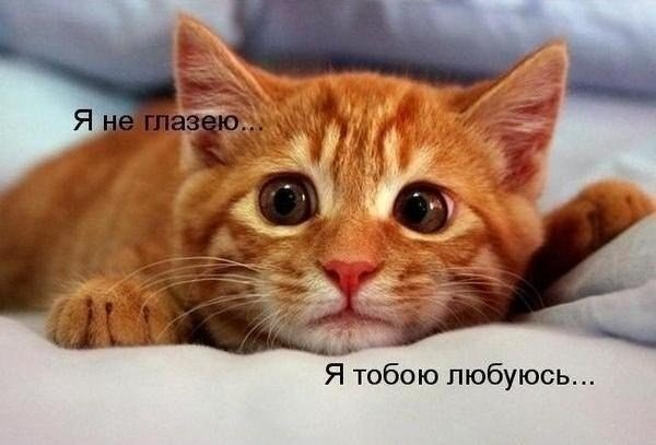 <***> - 22  2014  17:47