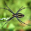 ���� ��������, ������ - ��������� 14 �������� 2014 � ������ ������ ��������