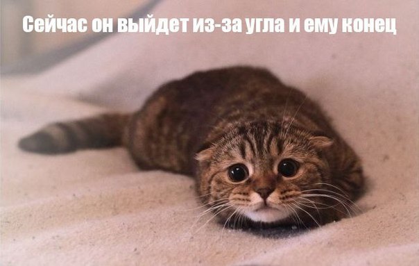  -  - 14  2014  12:17