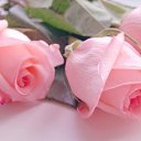 ���� &hearts; ������� &hearts;, ������ - ��������� 6 ������� 2014 � ������ ������ ��������