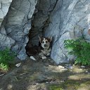 ���� Ivan, �������, 38 ��� - ��������� 1 �������� 2014 � ������ ���� ����������