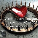 ,       ;!!!    
