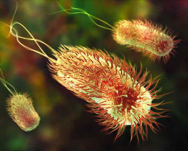 � ������� ���������� ���������. ������ �������� ����������� � ���� ��������-��� �������, ��������, ...