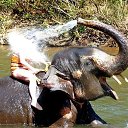 �������... �� ������� �������