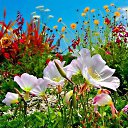 ���� ����, ������ - ��������� 10 ������ 2014 � ������ ������ ��������