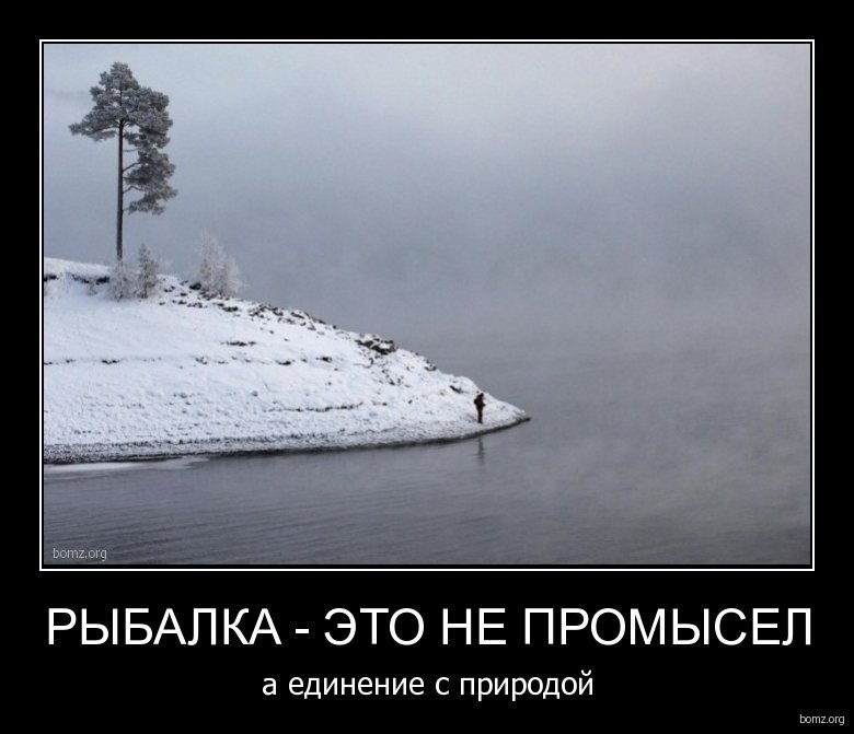 ����� ������� - 4 ������ 2014 � 11:51 - 3