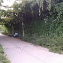 ���� Alina, ��������� - ��������� 30 ������� 2014 � ������ ���� ����������