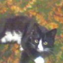 ���� ������, �����-���������, 46 ��� - ��������� 19 ������� 2014 � ������ ������ ��������