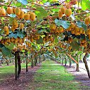  , --, 40  -  7  2014    