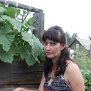 ���� ���������, ������������, 52 ���� - ��������� 28 ������� 2014 � ������ ���� ����������